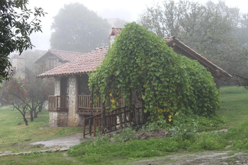 La Tierra Grande