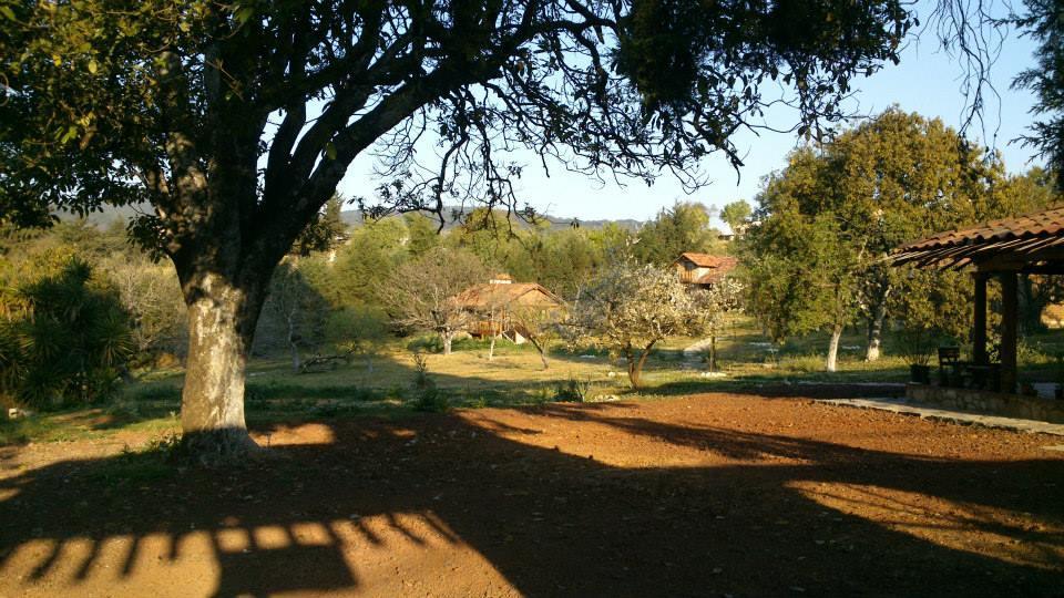 La Tierra Grande *